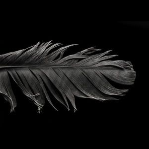 Meet your Posher, Lola